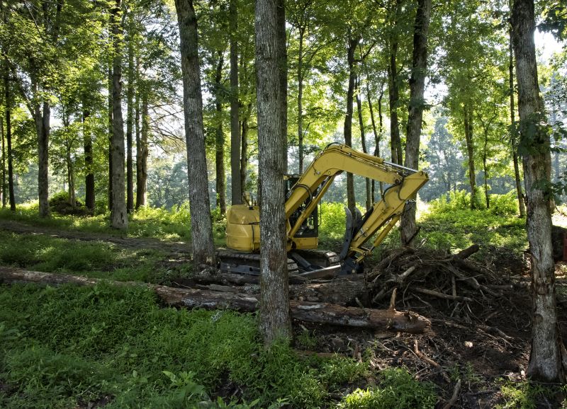Brush Clearing Service in Cumming, GA