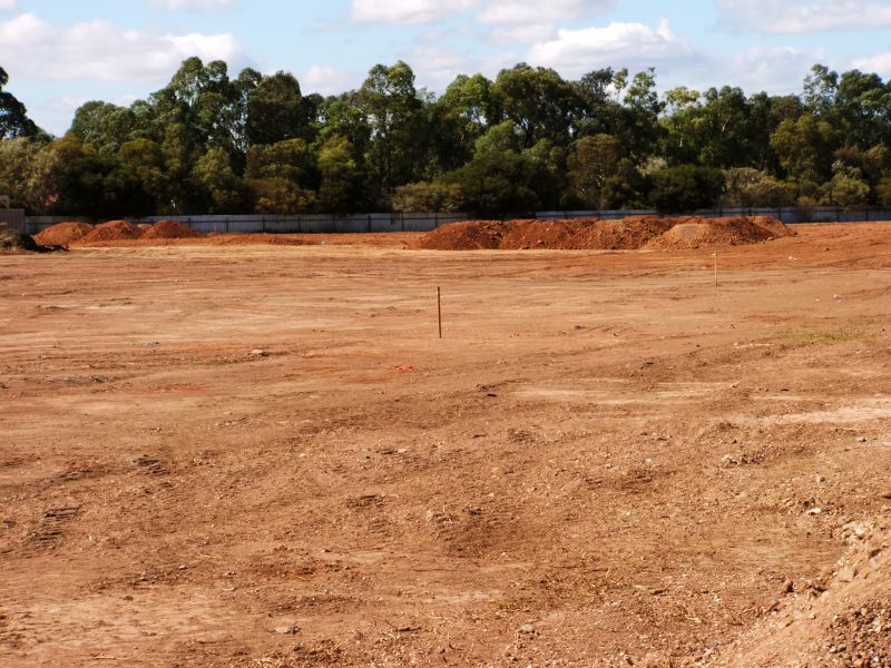 Post-Removal Landscape