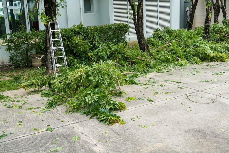 Cherry Tree Removal in Pottstown, PA