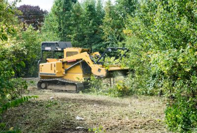 Forestry Clearing in Houston, TX