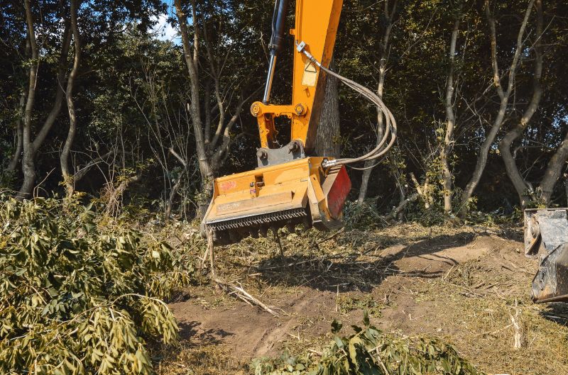 Land Clearing Service